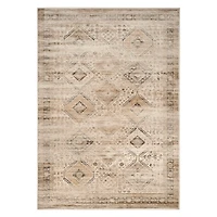 Stone Vinton Traditional Area Rug, 8x11