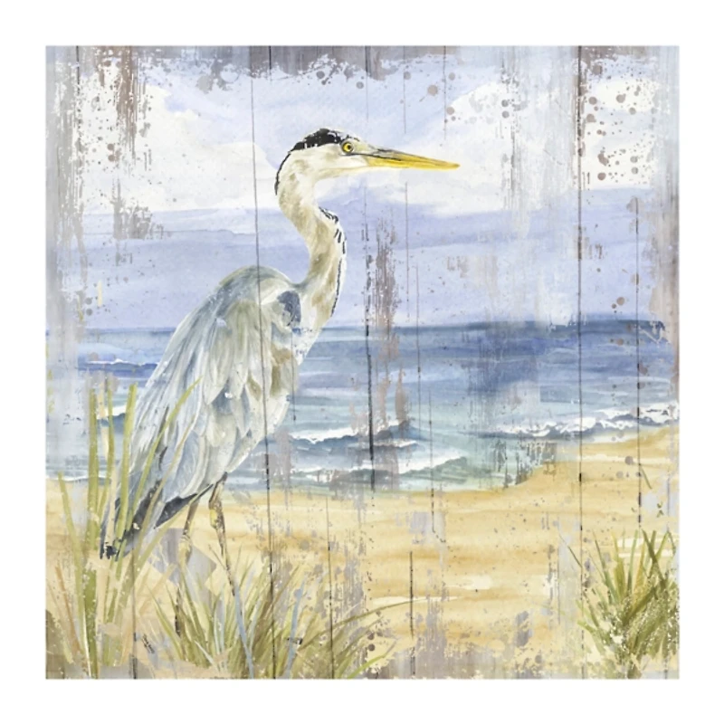 Rustic Birds of the Coast I Canvas Art Print