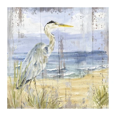 Rustic Birds of the Coast I Canvas Art Print