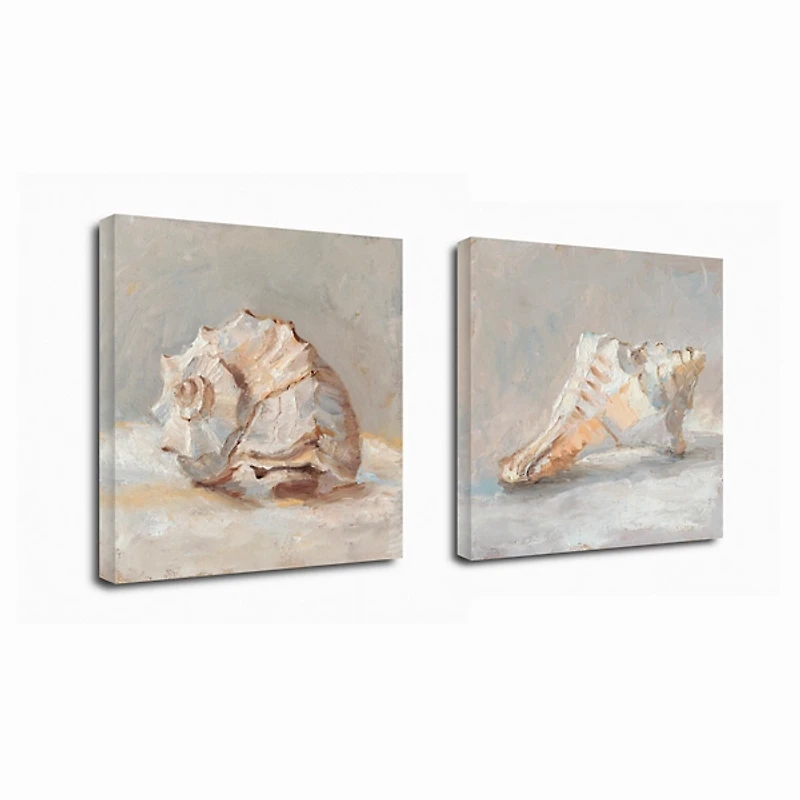 Impressionist Shell Canvas Art Prints, Set of 2
