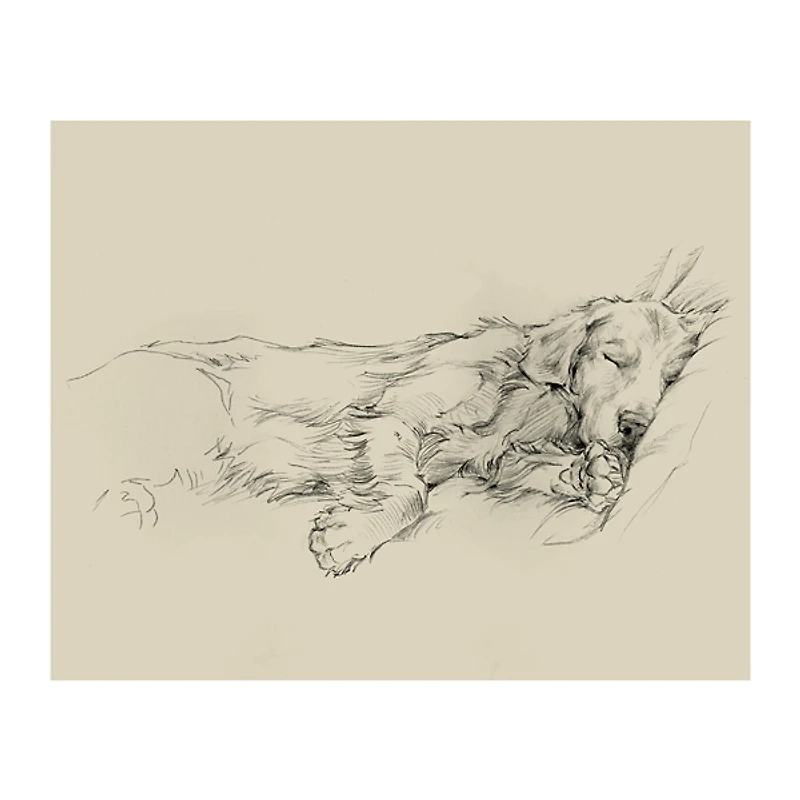 Dog Days III Canvas Art Print