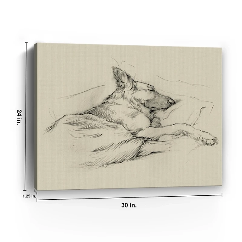 Dog Days IV Canvas Art Print