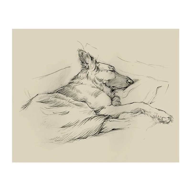 Dog Days IV Canvas Art Print