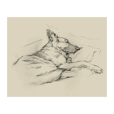 Dog Days IV Canvas Art Print