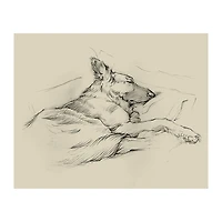 Dog Days IV Canvas Art Print