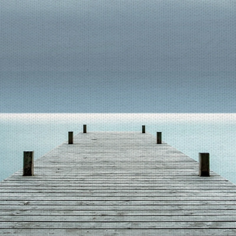 Distant Dream Canvas Art Print