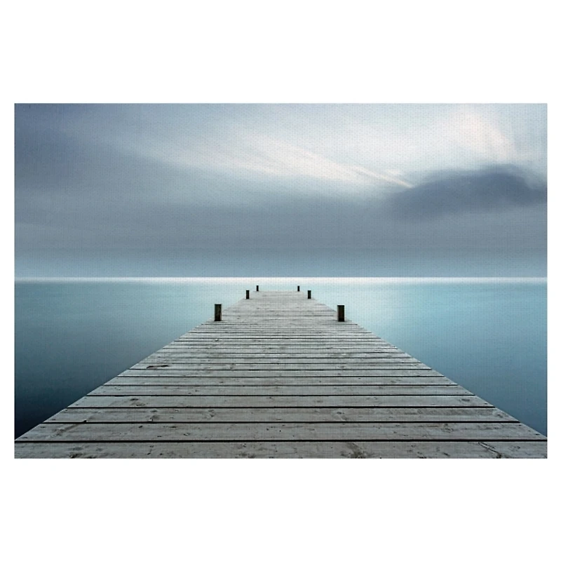 Distant Dream Canvas Art Print