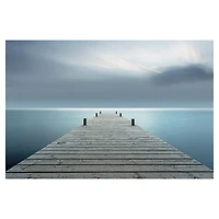 Distant Dream Canvas Art Print