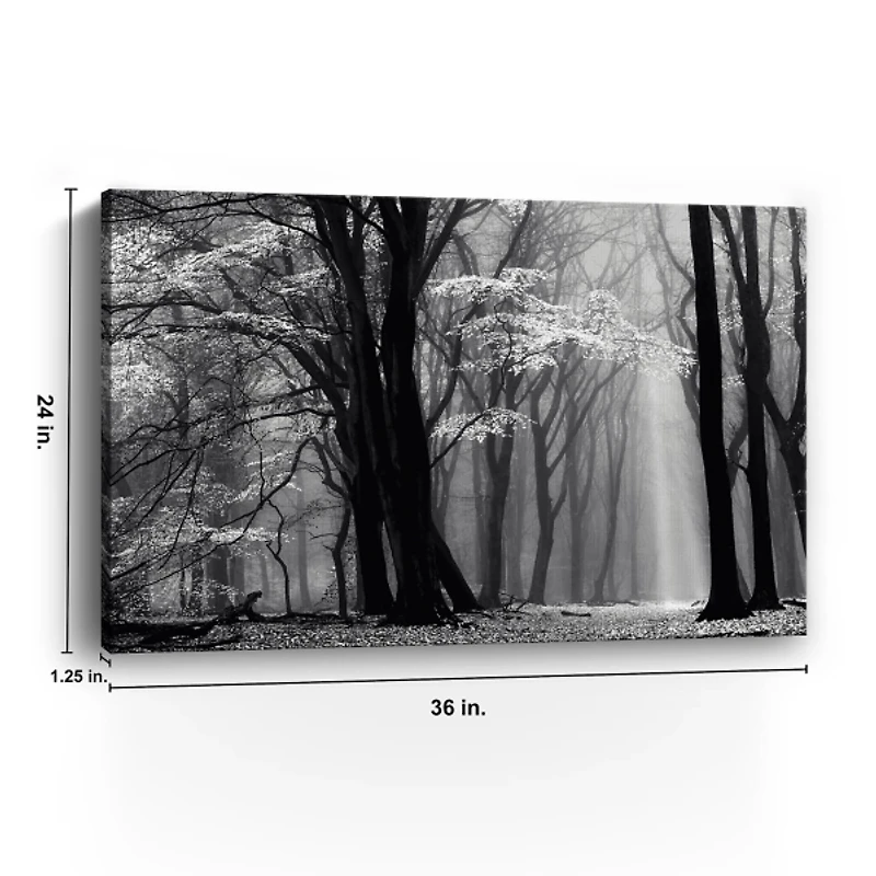 Winter Is Coming Giclee Canvas Art Print