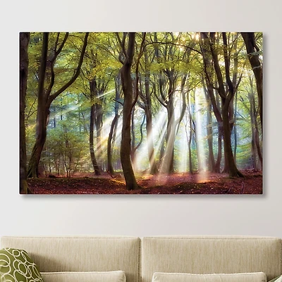 Majestic Morning Giclee Canvas Art Print