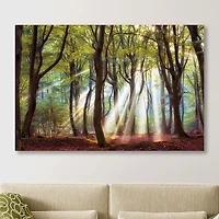 Majestic Morning Giclee Canvas Art Print