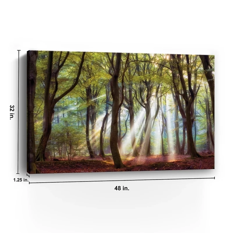 Majestic Morning Giclee Canvas Art Print