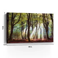 Majestic Morning Giclee Canvas Art Print