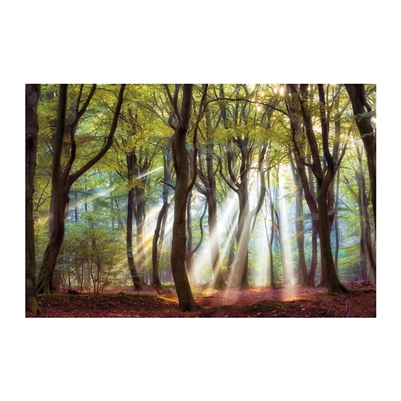 Majestic Morning Giclee Canvas Art Print
