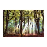 Majestic Morning Giclee Canvas Art Print