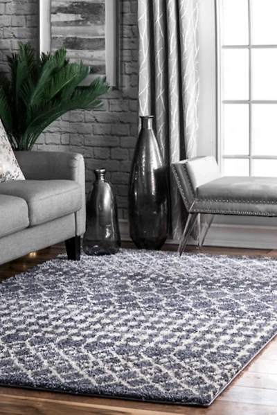 Gray Barbara Moroccan Area Rug, 5x8