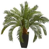 Cycas Floor Plant in Tall Black Planter, 30 in.