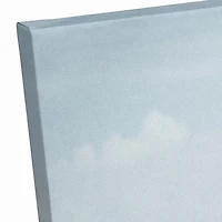 Perched Pelican Canvas Art Print