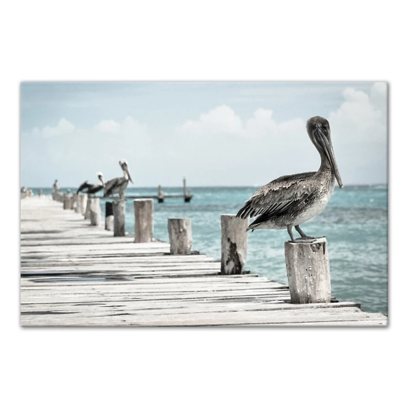 Perched Pelican Canvas Art Print