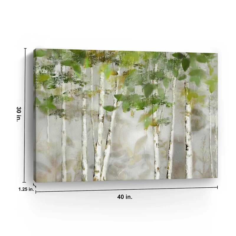 Evergreen Forest Giclee Canvas Art Print