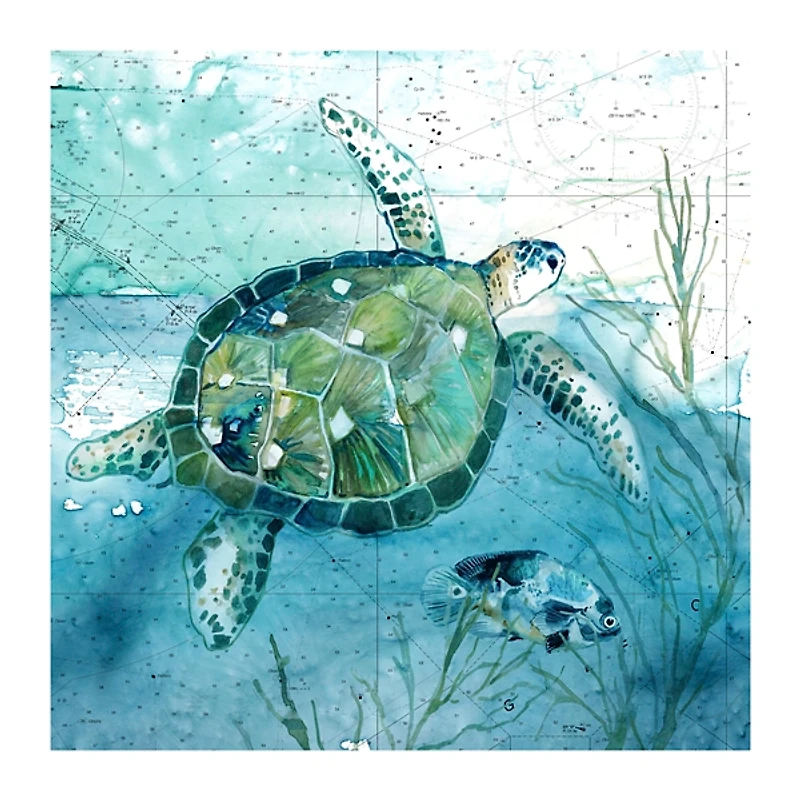 Island Swim I Giclee Canvas Art Print