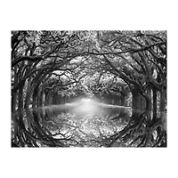 Oak Alley Reflection Giclee Canvas Art Print