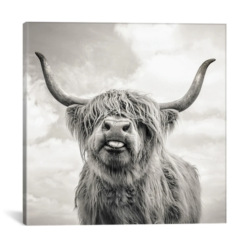 Funny Girl Giclee Canvas Art Print, 18x18