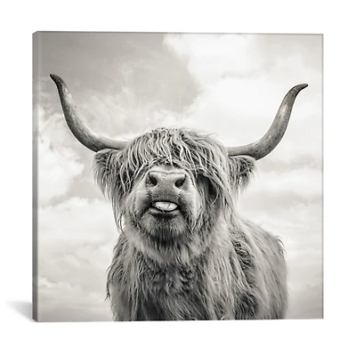 Funny Girl Giclee Canvas Art Print, 18x18