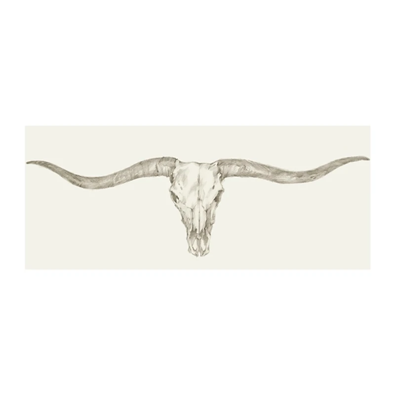 Western Skull Mount III Giclee Art Print