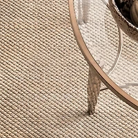 Wilson Hand Woven Area Rug, 8x10