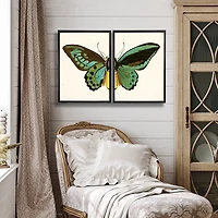 Turquoise Butterfly Framed Art Prints, Set of 2
