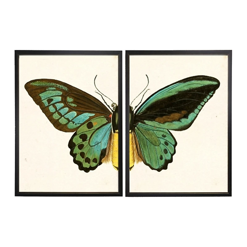 Turquoise Butterfly Framed Art Prints, Set of 2