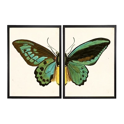 Turquoise Butterfly Framed Art Prints, Set of 2
