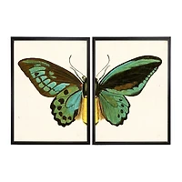 Turquoise Butterfly Framed Art Prints, Set of 2
