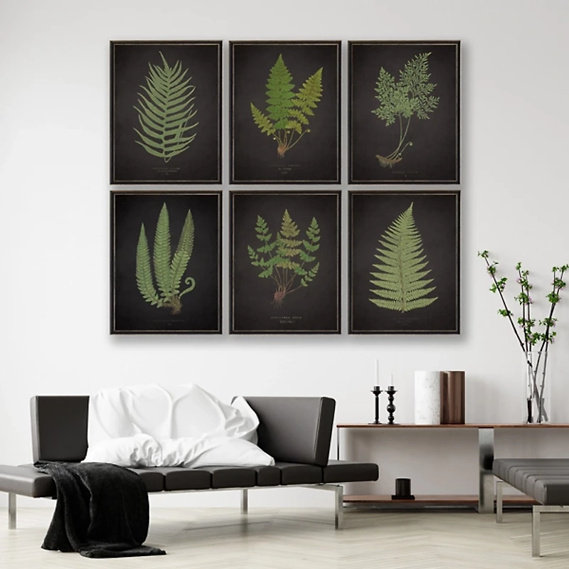 Black Fern V Framed Art Print