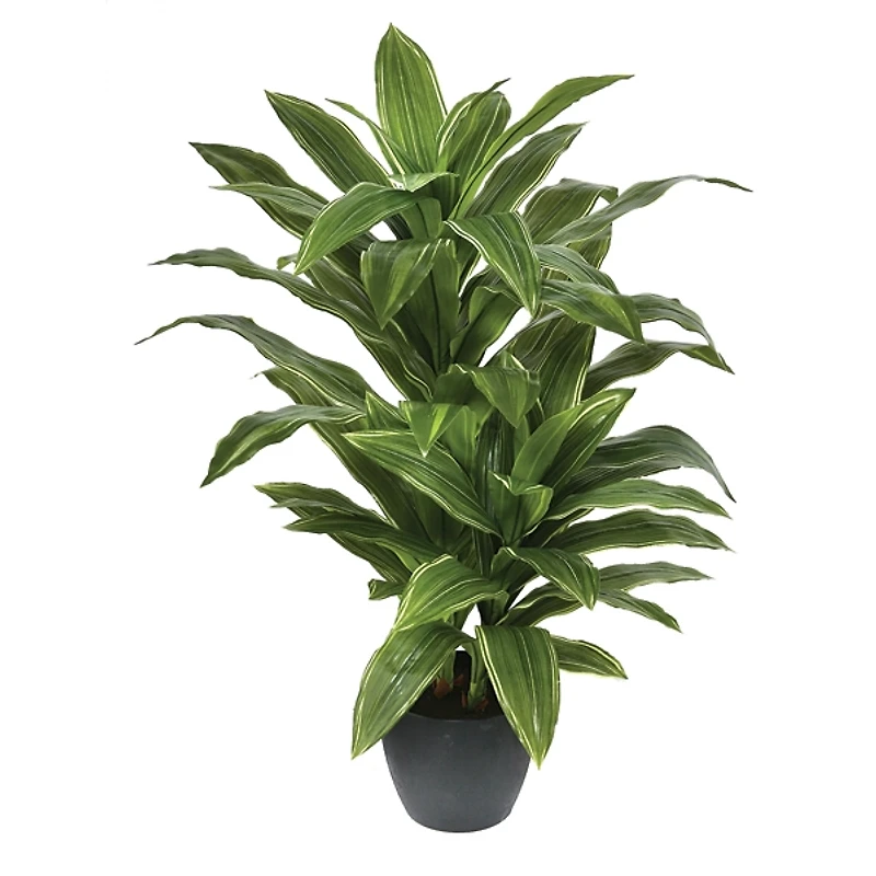 Yucca Natural Touch Plant, 42 in.