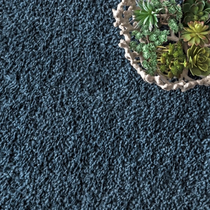 Blue Neva Plush Shag Area Rug, 5x7