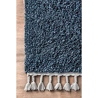 Blue Neva Plush Shag Area Rug, 5x7