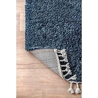 Blue Neva Plush Shag Area Rug, 5x7