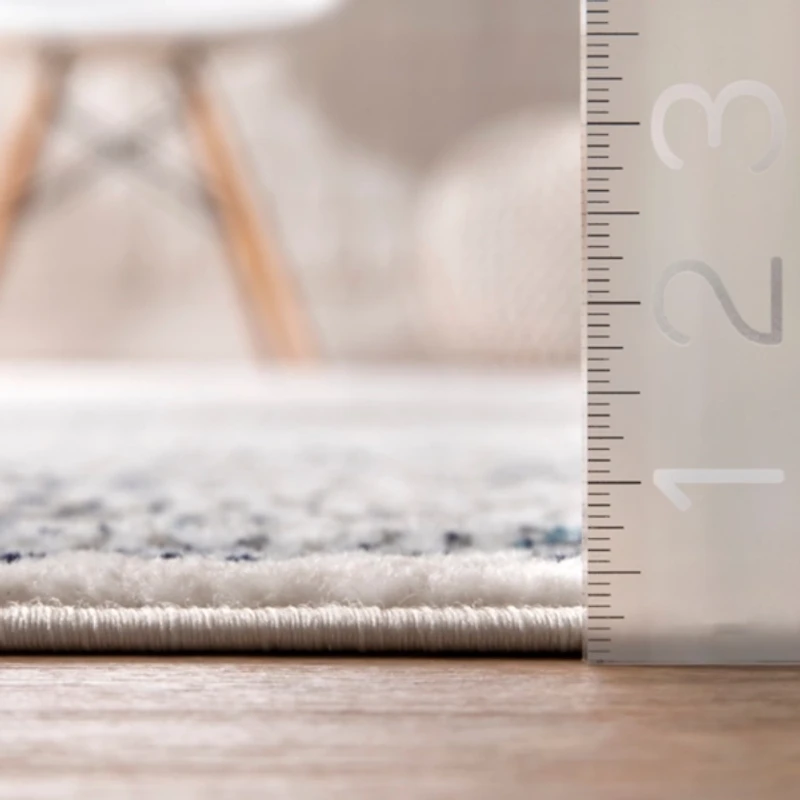 Delany Persian Inspired Area Rug, 4x6