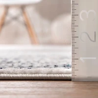 Delany Persian Inspired Area Rug, 4x6