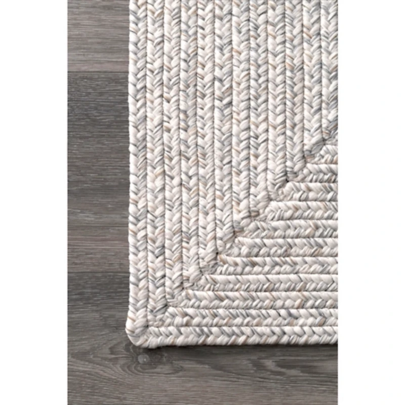 Braided Leah Indoor/Outdoor Area Rug, 3x5