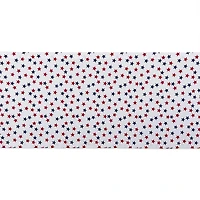 Americana Mini Stars Runner