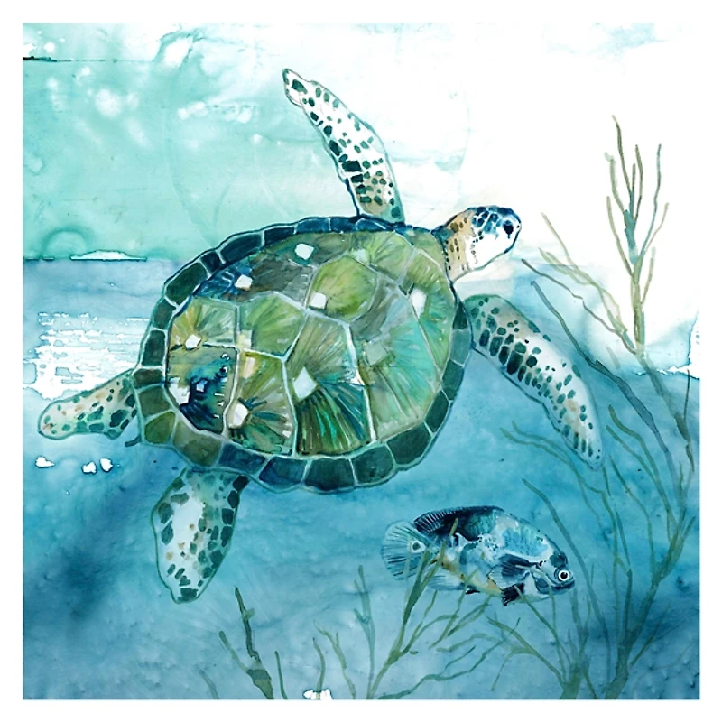 Delray Sea Turtle I Giclee Canvas Art Print