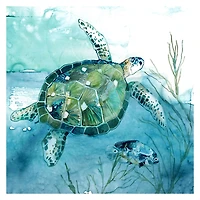 Delray Sea Turtle I Giclee Canvas Art Print