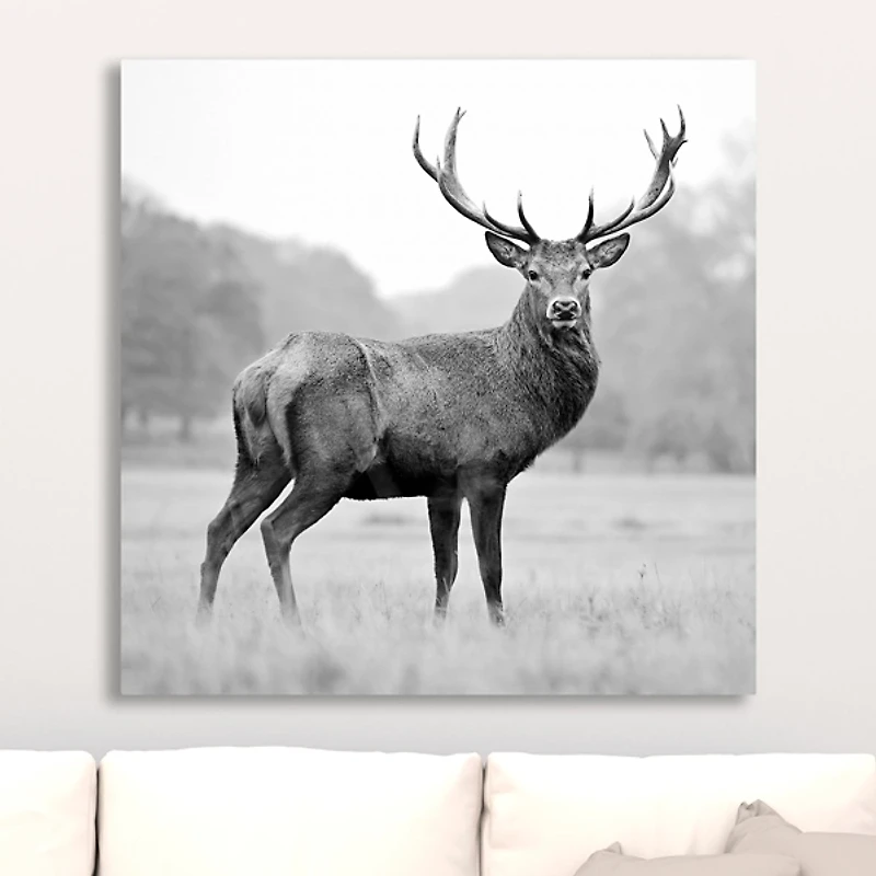 Proud Deer Giclee Canvas Art Print