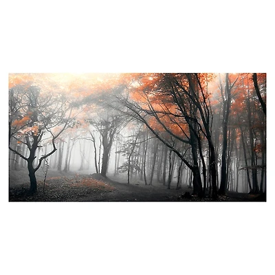 Autumn Woods Giclee Canvas Art Print