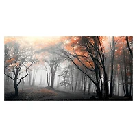 Autumn Woods Giclee Canvas Art Print