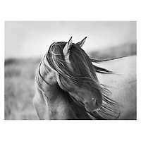 Fierce Grace Canvas Art Print