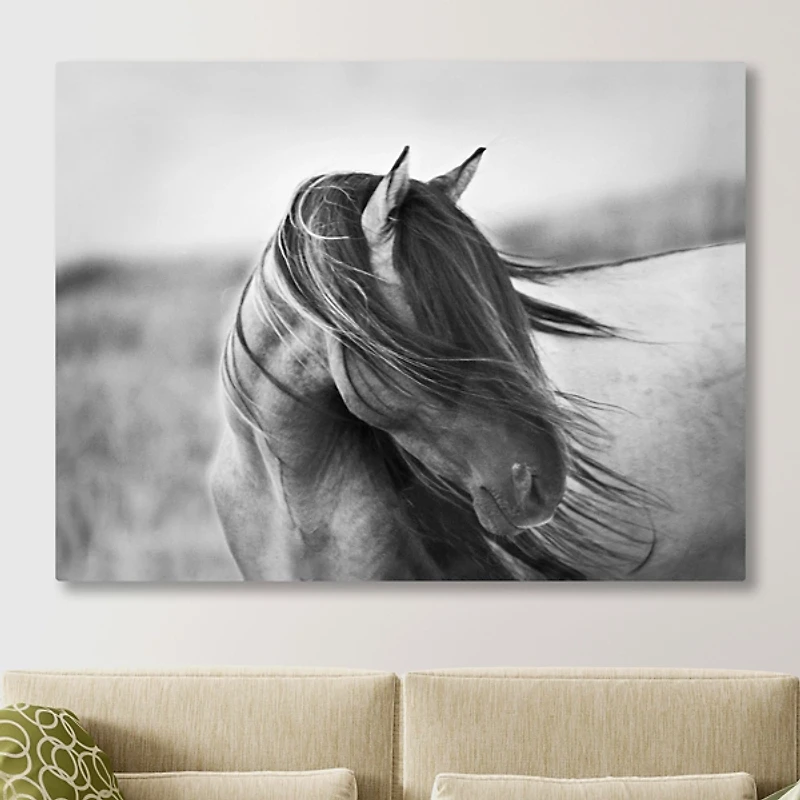 Fierce Grace Canvas Art Print